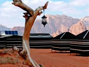Desert Tree camp&tours - Ramm