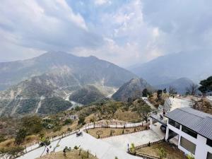 Dandelion By The Hills