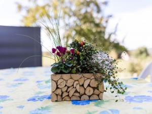 Appartements Cozy holiday home in Thedirac : photos des chambres