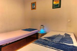 Maisons de vacances Maison confortable a Hourtin 45 m² avec piscine partagee sur place ! : photos des chambres