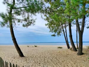 Maisons de vacances Maison confortable a Hourtin 45 m² avec piscine partagee sur place ! : photos des chambres