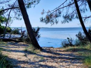 Maisons de vacances Maison confortable a Hourtin 45 m² avec piscine partagee sur place ! : photos des chambres