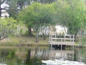 Maisons de vacances Maison confortable a Hourtin 45 m² avec piscine partagee sur place ! : photos des chambres