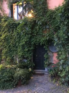 La Fontanella - Piccolo Appartamento nel Centro Storico di Nemi