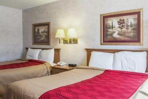 Queen Room - Disability Access/Non-Smoking room in Econo Lodge North Sioux Falls