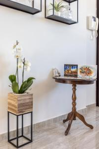 Luxury rooftop apartment Zalato