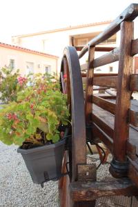 Hotels Hotel et Residence de la Transhumance : photos des chambres