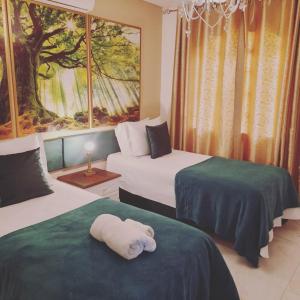 La Maison Brasiliana B&B