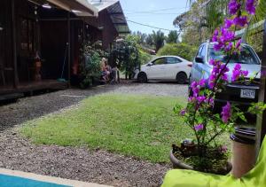 Casa Morpho Uvita Guesthouse