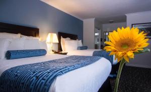 Queen Room with Two Queen Beds and Sofa Bed room in Regency Inn in Los Angeles