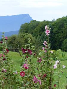 Maisons d'hotes Au coeur de la campagne - Gite non loins d'Annecy- a 17 min d'Annecy - Tout pret d'Aix les Bains : photos des chambres