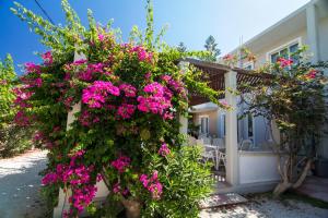 Hotel Peli Chania Greece