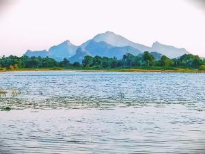 Sigiri Crown Tree Lodge