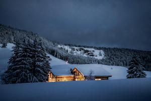 Chalets Le Moulin des Scies Neuves : photos des chambres