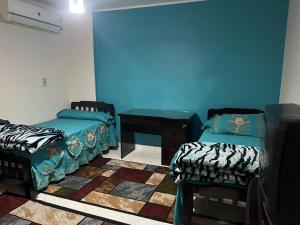 Family Apartment in Nasr City