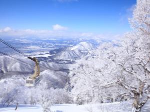 Ryuo Mountain Hotel