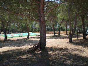 Stazzo Gallurese La Cugara img5