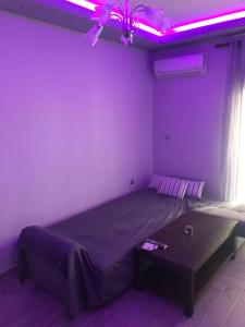 The only luxurious apartment in the center of town