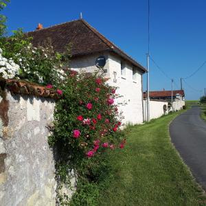 B&B / Chambres d'hotes Gite et chambres d'hotes Le Chene Billault : photos des chambres