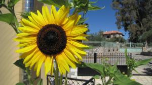 Hotel Aphrodite Messinia Greece