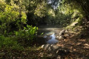 La Casa del Bosque Carmelo