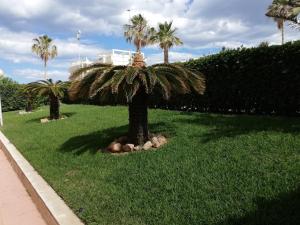 Las Olas Solo Familias Serviplaya