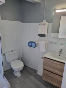 Hotels Hotel-Restaurant Le Blueberry : Chambre Quadruple Standard (Toilettes et Salle de Bains Privatives)