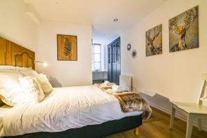 Appartements FREE PUBLIC PARKING - WIFI - Le Wild Forest : photos des chambres