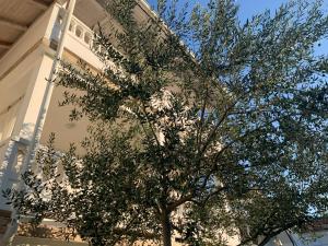 Apartments Gurman 
