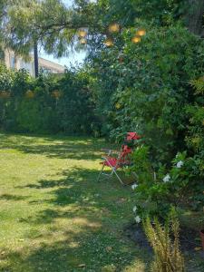 Cabaña Monoambiente de Descanso y Relax en Zona Barrio La Florida Pet Friendly