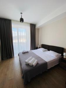 Bakuriani Plaza A113