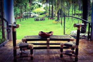 Photo of Livingstone Tra