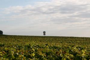 Hotels Best Western Le Relais du Vigneron : photos des chambres