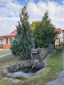 Casa cu fantana - Mînău