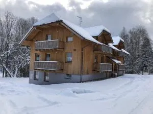 Horský apartmán Prášily - Nová Hŭrka