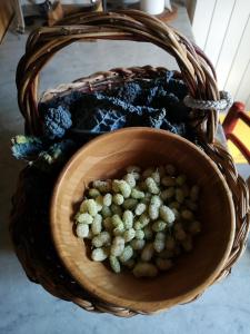 Agriturismo capanna delle Cozzole