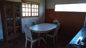 Raizando Ecologia Humana