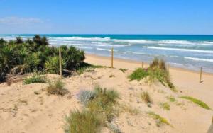 Denia Beach Nature