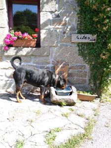 B&B / Chambres d'hotes Domaine de Lesvaniel : photos des chambres