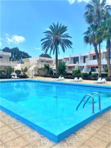 Cozy one bedroom apartment with spacious terrace. Pool and garden view