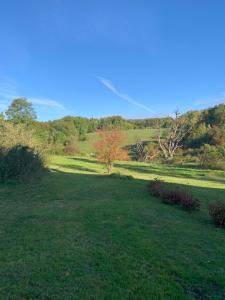 Forsthaus in Waldhessen