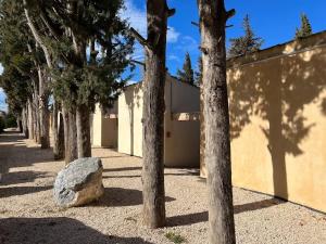 Maisons de vacances Bastidon des Alpilles : photos des chambres