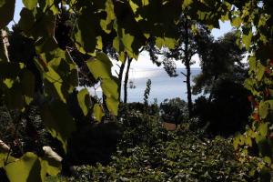 Mathesi Apartment Sea View