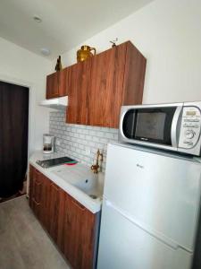 Appartements Proche du Stade Omnisports et a pied du Lac : photos des chambres