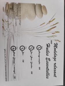 Appartement bien-être avec jardin, jacuzzi, sauna & massage entre Bourges et Sancerre