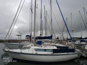 New Wave "The best place"