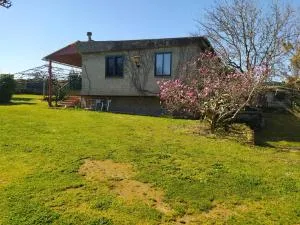 Casa Torás - András