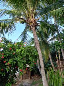 Chalé na Praia da Tiririca