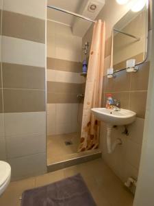 Apartment in the center of Skopje