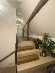 Kamurke - Apartamentai